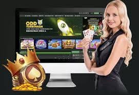 all bet app
